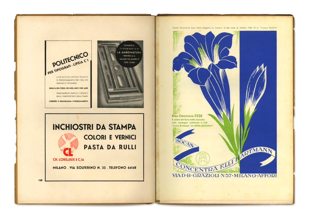 ​Pages: 168, insert