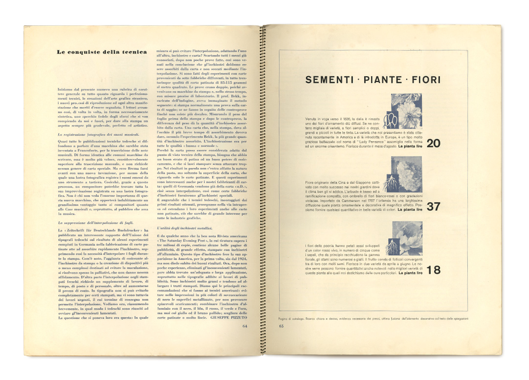 ​Pages: 64, 65