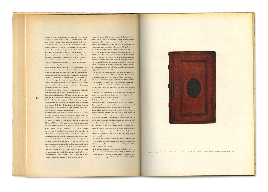pages: 24, 25 